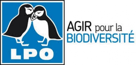 LPO Bretagne - Protection des oiseaux